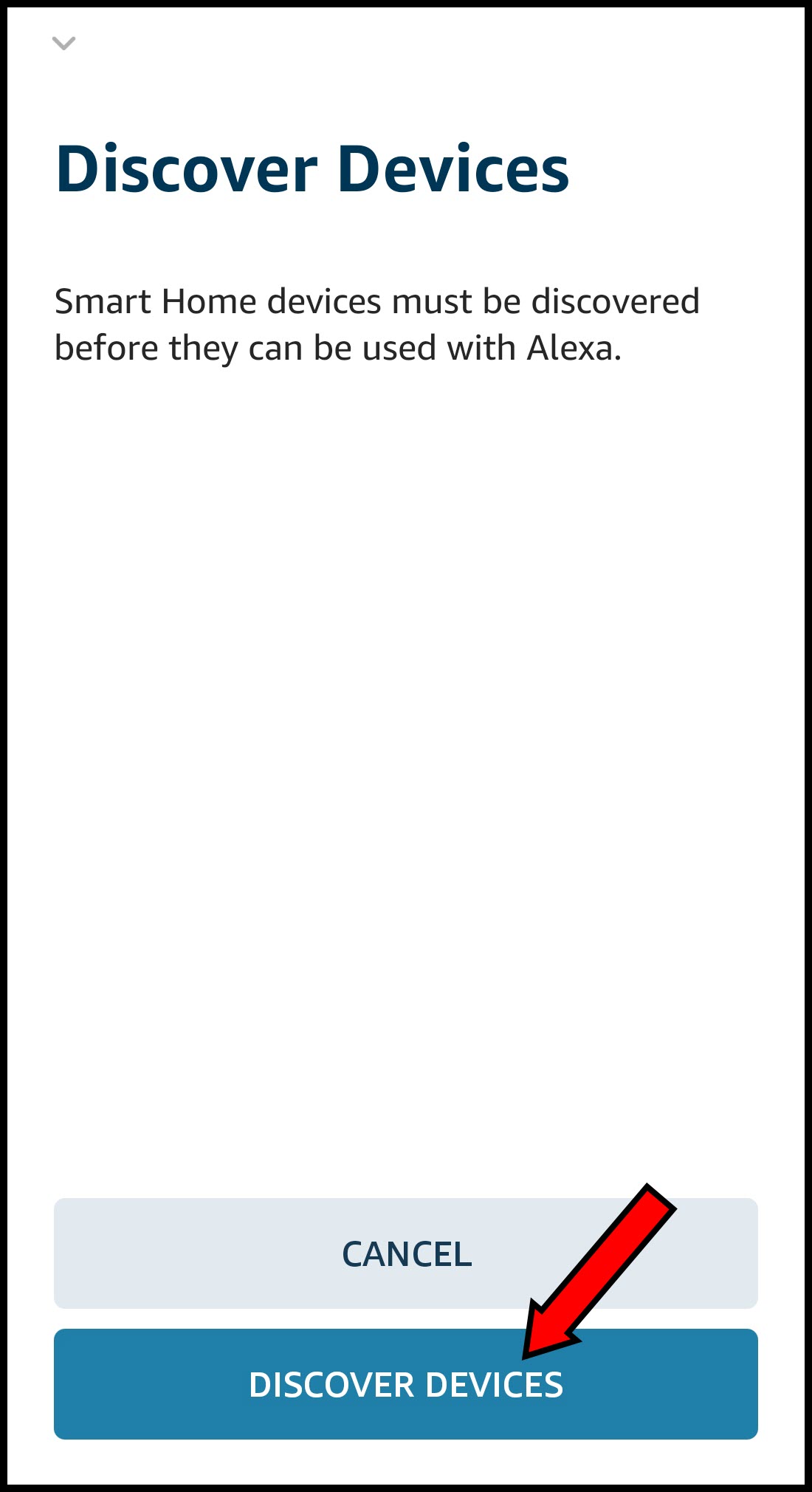 Alexa_DiscDevs.jpg